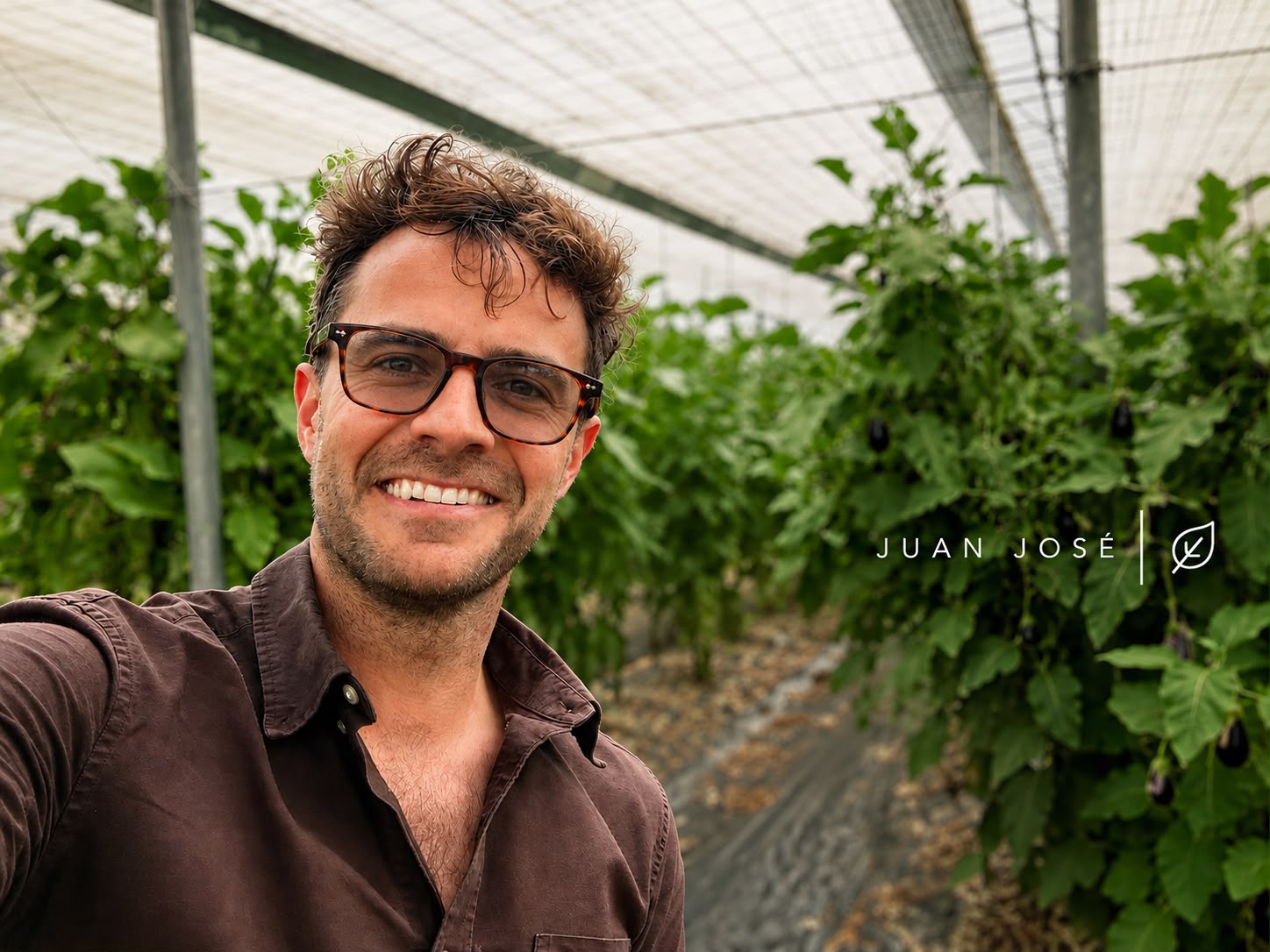 Juan José García Galera in a greenhouse in Almería